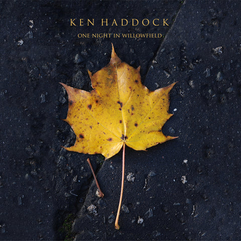 Ken Haddock- One Night in Willowfield